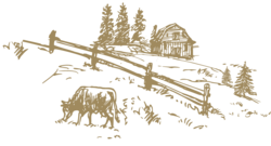 Uniquely Swiss
